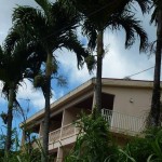 Belle Martinique