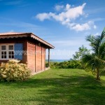 Belle Martinique