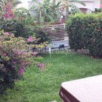Belle Martinique