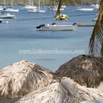 Belle Martinique