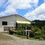 Belle Martinique