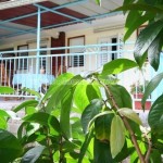 Belle Martinique