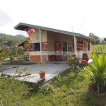 Belle Martinique