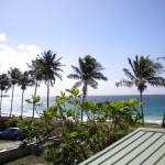 Belle Martinique