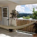 Belle Martinique