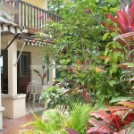 Belle Martinique