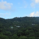 Belle Martinique
