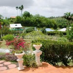 Belle Martinique