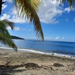Belle Martinique
