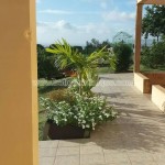 Belle Martinique