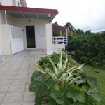 Belle Martinique