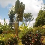 Belle Martinique