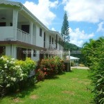 Belle Martinique