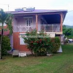 Belle Martinique