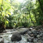 Belle Martinique