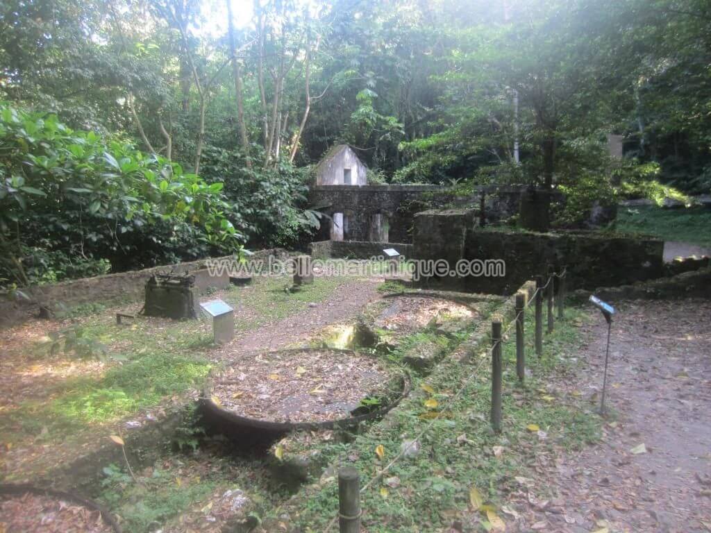 Randonnee-Precheur-grand-riviere