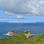 Belle Martinique