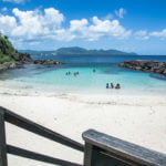 Belle Martinique