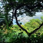Belle Martinique