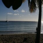 Belle Martinique