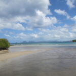 Belle Martinique