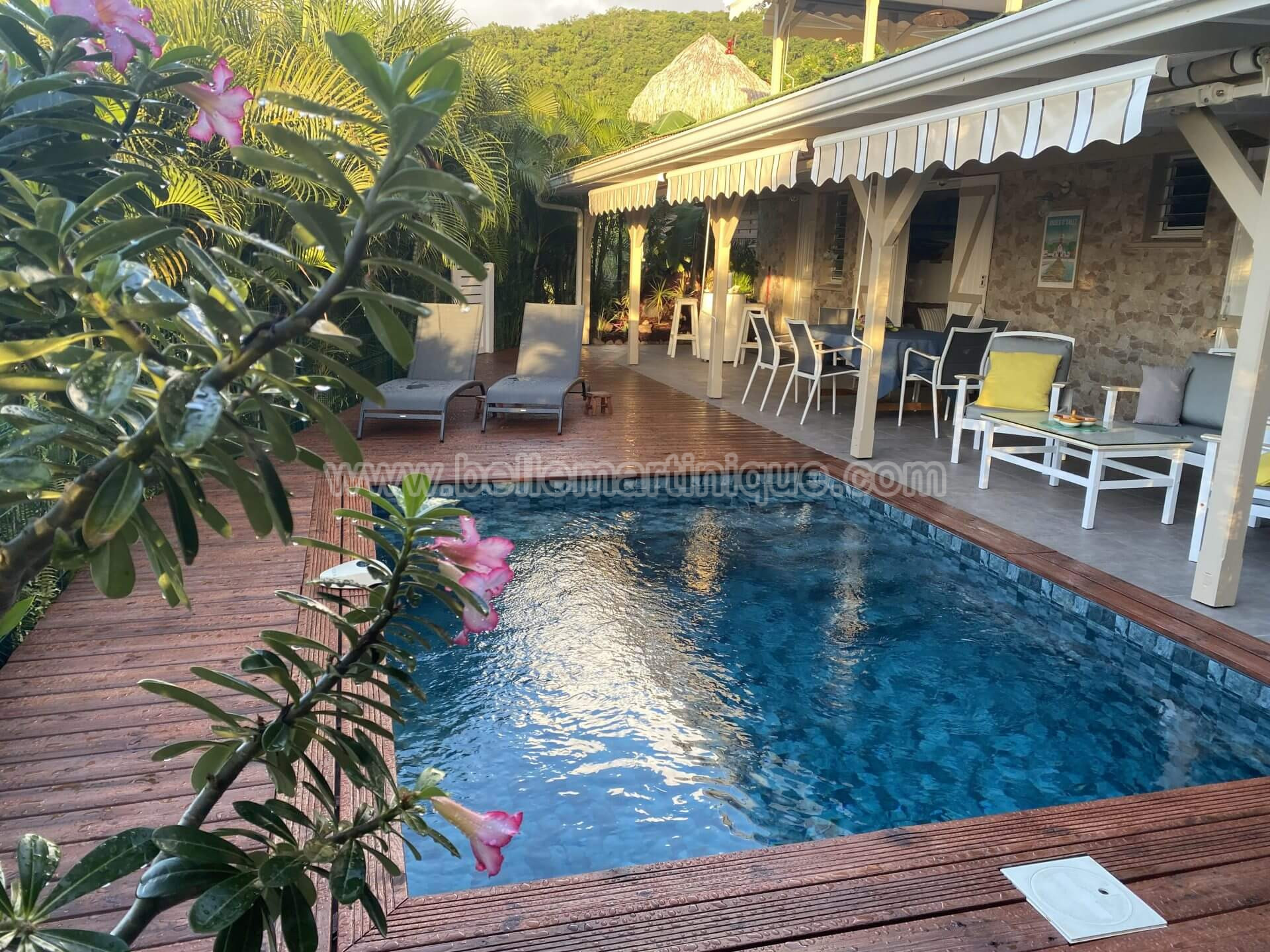 Belle Martinique