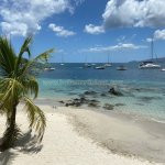 Belle Martinique