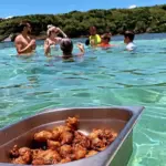 Sun Vibes sortie en mer Martinique