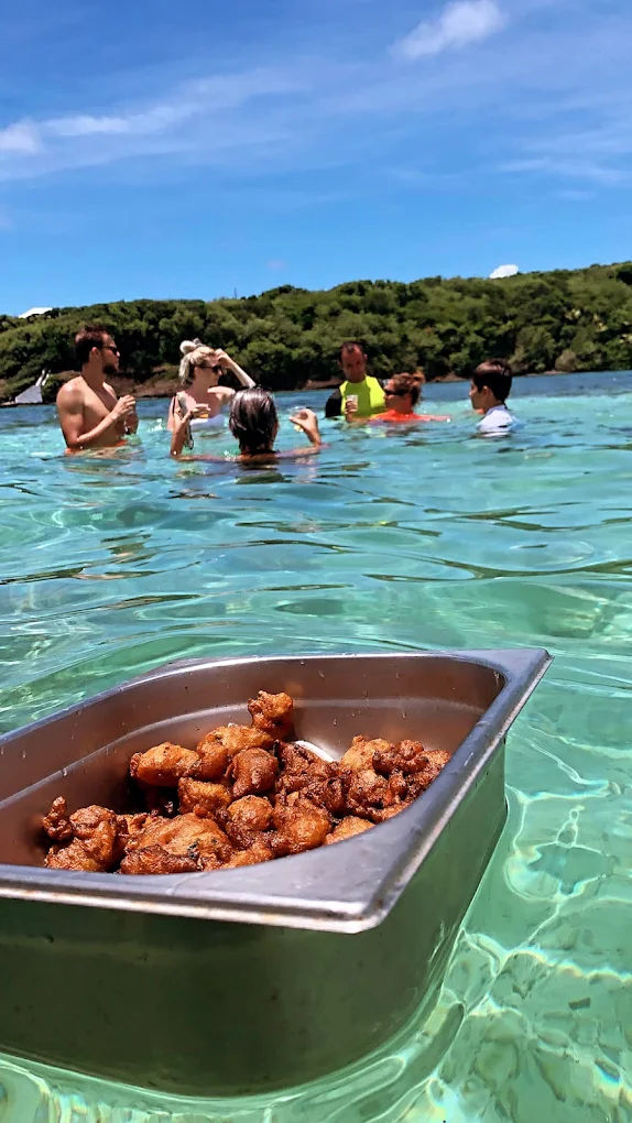 Sun Vibes sortie en mer Martinique