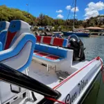 Sun Vibes sortie en mer Martinique
