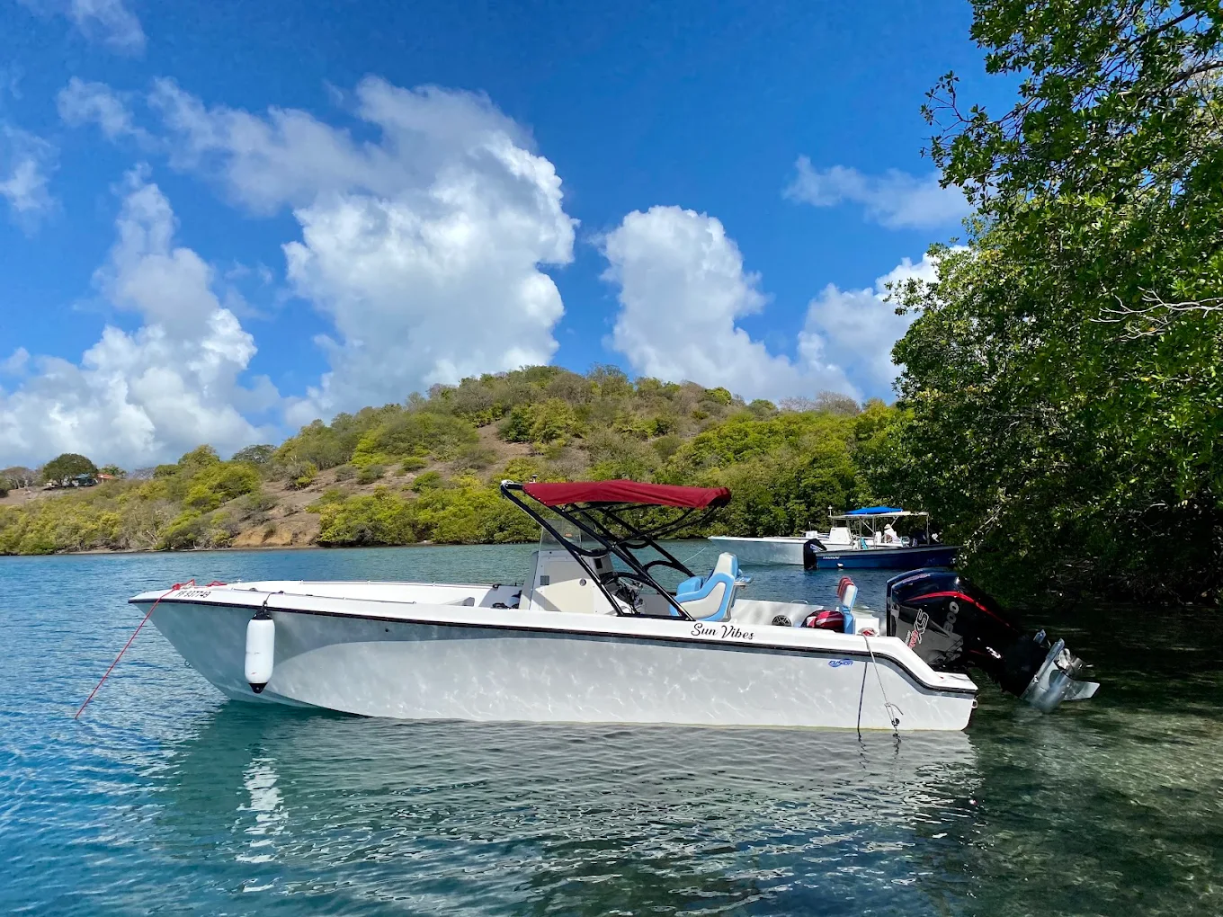 Sun Vibes sortie en mer Martinique