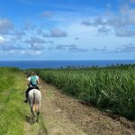 Belle Martinique