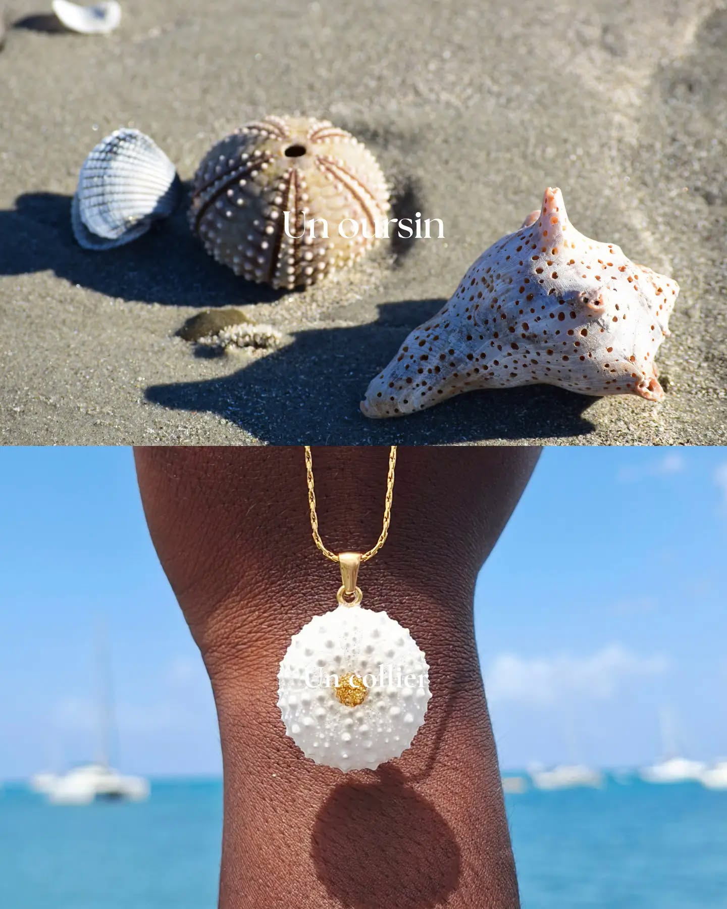 Flore créations, bijoux artisanaux , fleurs, coquillage, Martinique