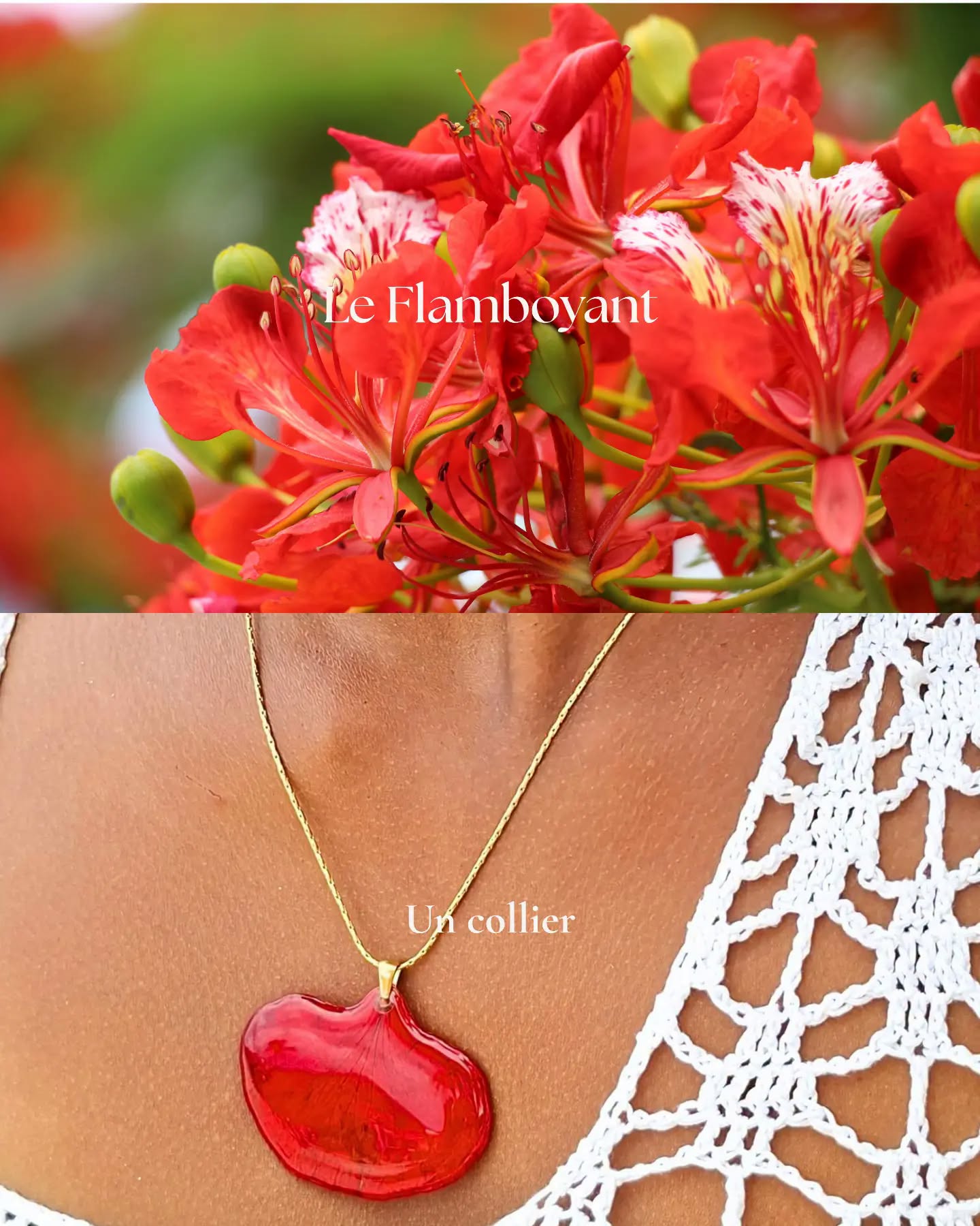Flore créations, bijoux artisanaux , fleurs, coquillage, Martinique