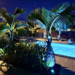Belle Martinique