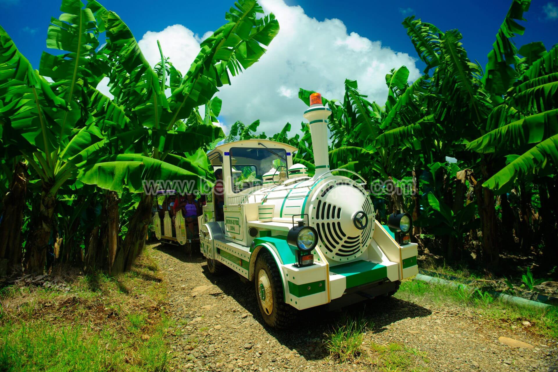 Belle Martinique