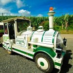 Belle Martinique