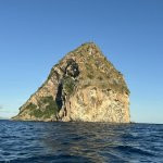 Carib evasion - peche aux gros - peche cotiere - excusrion en mer - balade en mer - dauphins - tortues - schoelcher - martinique - antilles - caraibes