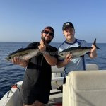 Carib evasion - peche aux gros - peche cotiere - excusrion en mer - balade en mer - dauphins - tortues - schoelcher - martinique - antilles - caraibes