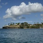Carib evasion - peche aux gros - peche cotiere - excusrion en mer - balade en mer - dauphins - tortues - schoelcher - martinique - antilles - caraibes