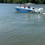 Carib evasion - peche aux gros - peche cotiere - excusrion en mer - balade en mer - dauphins - tortues - schoelcher - martinique - antilles - caraibes