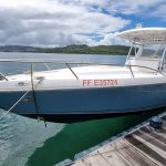 den Sea Evasion - excursion en mer - sortie bateau - balade en mer - ilet du robert - ilet du francois - Martinique - antilles