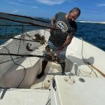 Eden Sea Evasion - excursion - peche - relever casier - langouste - le robert - le francois - balade en mer - martinique - antilles - caraibes