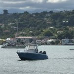 Eden Sea Evasion - excursion - peche - relever casier - langouste - le robert - le francois - balade en mer - martinique - antilles - caraibes