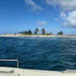 Eden Sea Evasion - excursion - peche - relever casier - langouste - le robert - le francois - balade en mer - martinique - antilles - caraibes