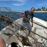 Eden Sea Evasion - excursion - peche - relever casier - langouste - le robert - le francois - balade en mer - martinique - antilles - caraibes