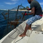 Eden Sea Evasion - excursion - peche - relever casier - langouste - le robert - le francois - balade en mer - martinique - antilles - caraibes