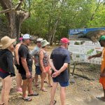 Eden Sea Evasion - excursion - peche - relever casier - langouste - le robert - le francois - balade en mer - martinique - antilles - caraibes