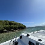 Excursion-bateau-aux-ilets-Exotic-Vibes-Martinique