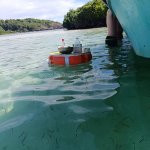 Belle Martinique
